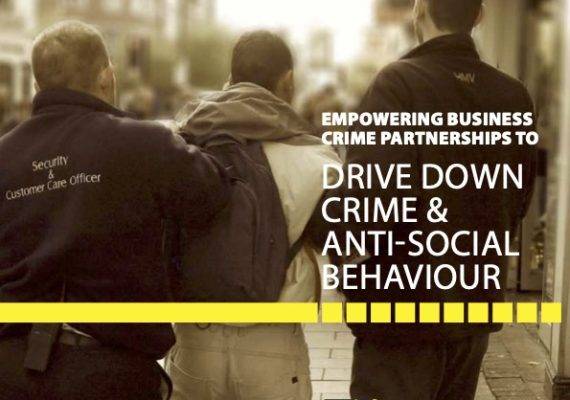 Disc Brochure - Crime Partnerships
